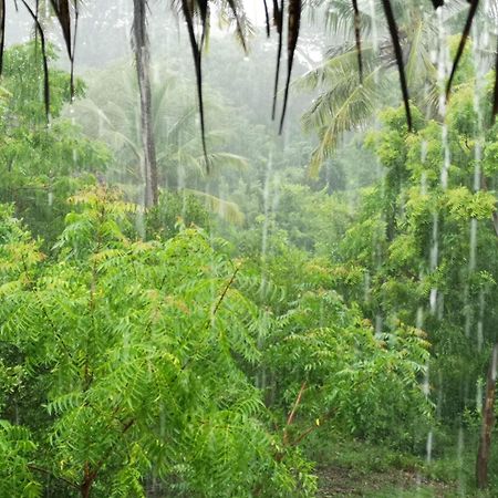 كيزيماكزي Mawingu Lodge المظهر الخارجي الصورة